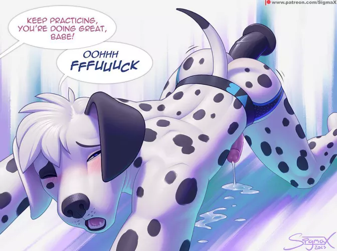 Good Boy Training (SigmaX)