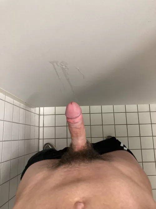 Hairy cock in the toilet