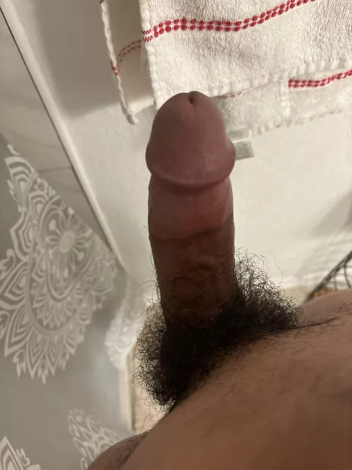 Hispanic dick
