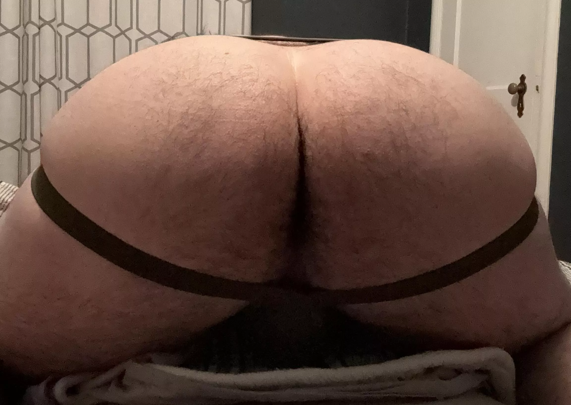 Hope you like Hairy Jockstrap Asses