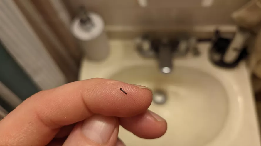 I don't know if this belongs here.... I pulled this out of my face this morning just before I shaved and it felt awesome!