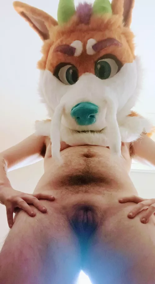 Look at you, such a small pup you are. Come make daddy happy~