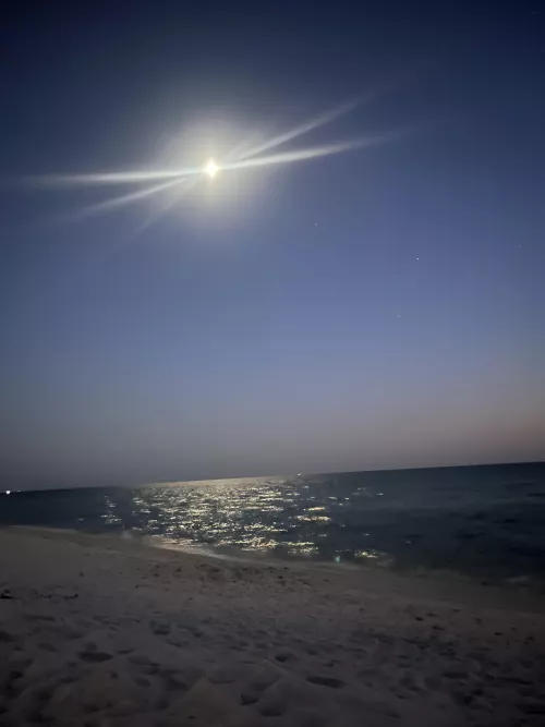 Moonlight glow on the beach OC