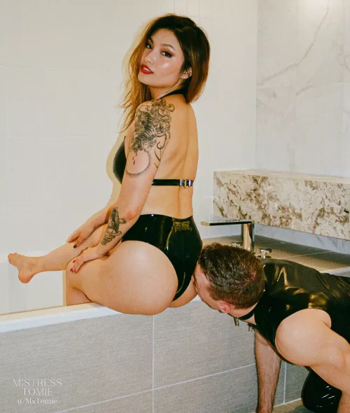 My little pet helps keep everything shiny