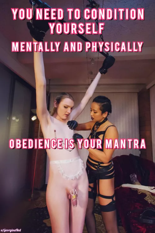 Obedience is the mantra