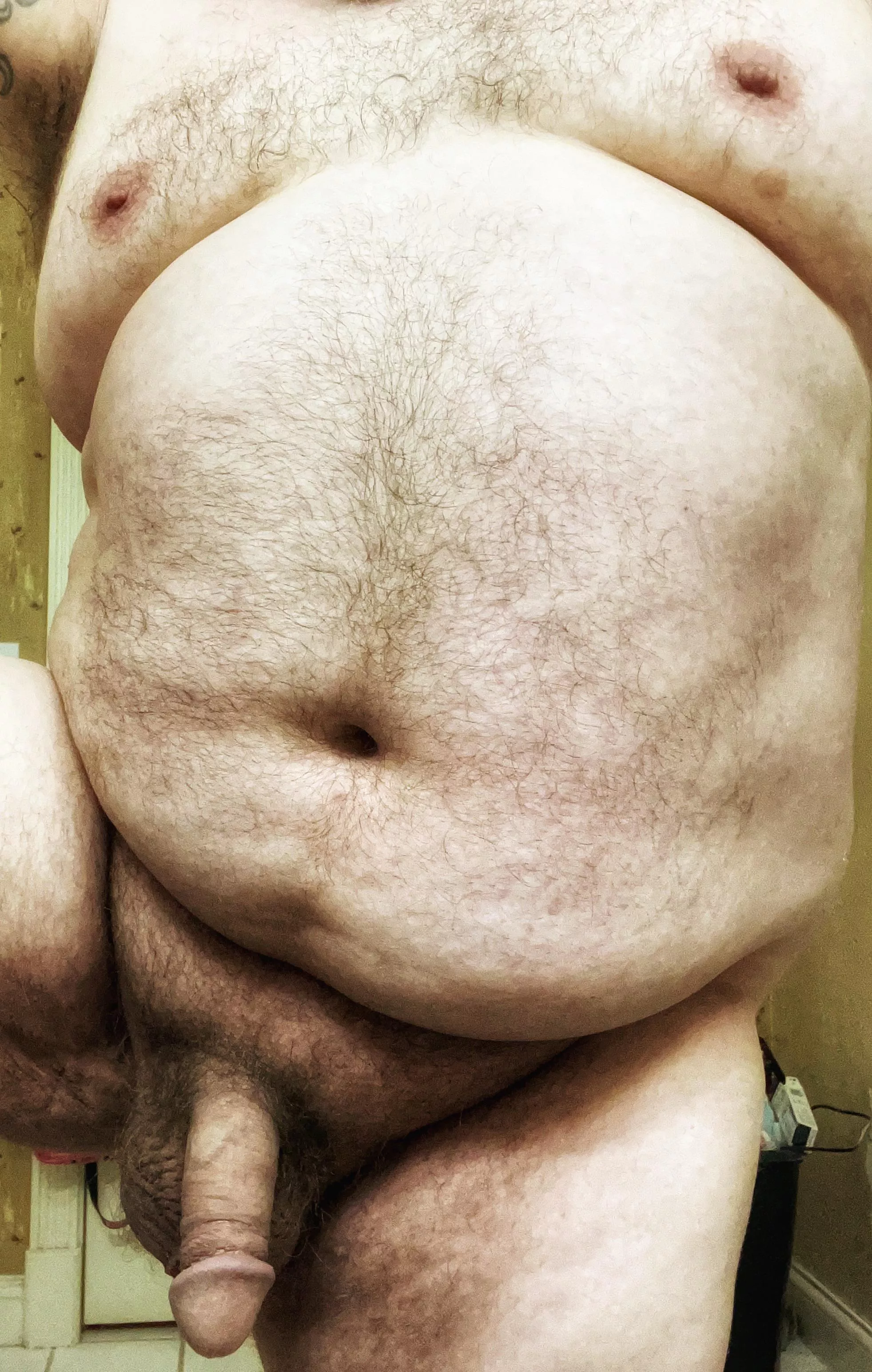 Older Bear that loves to show off.