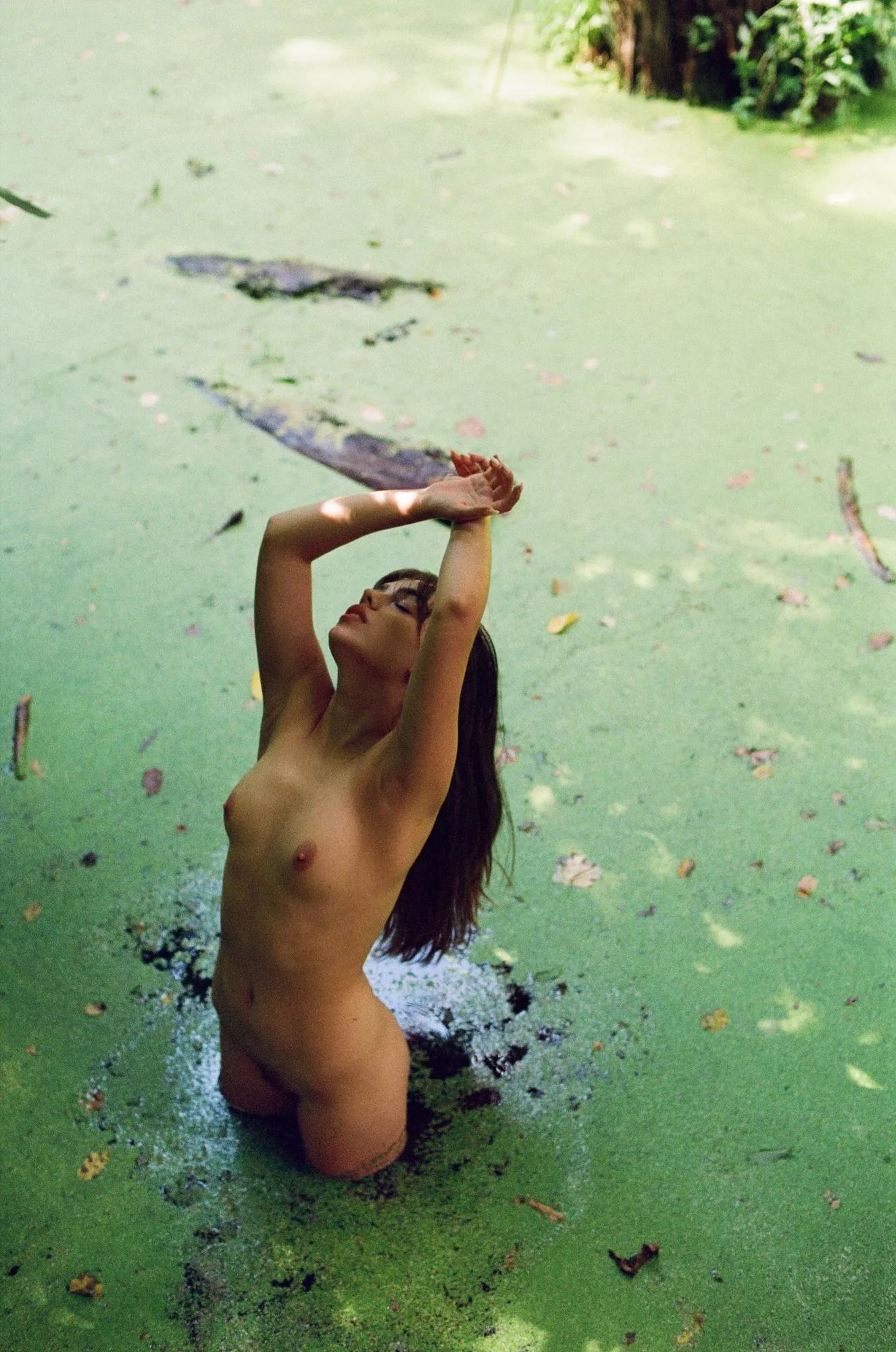 Swamp Nymph by Nazar Elcansky