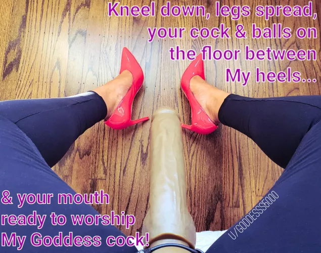 The worshipping that happens before I ram it in!