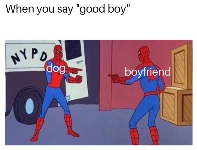 They get a little confused sometimes