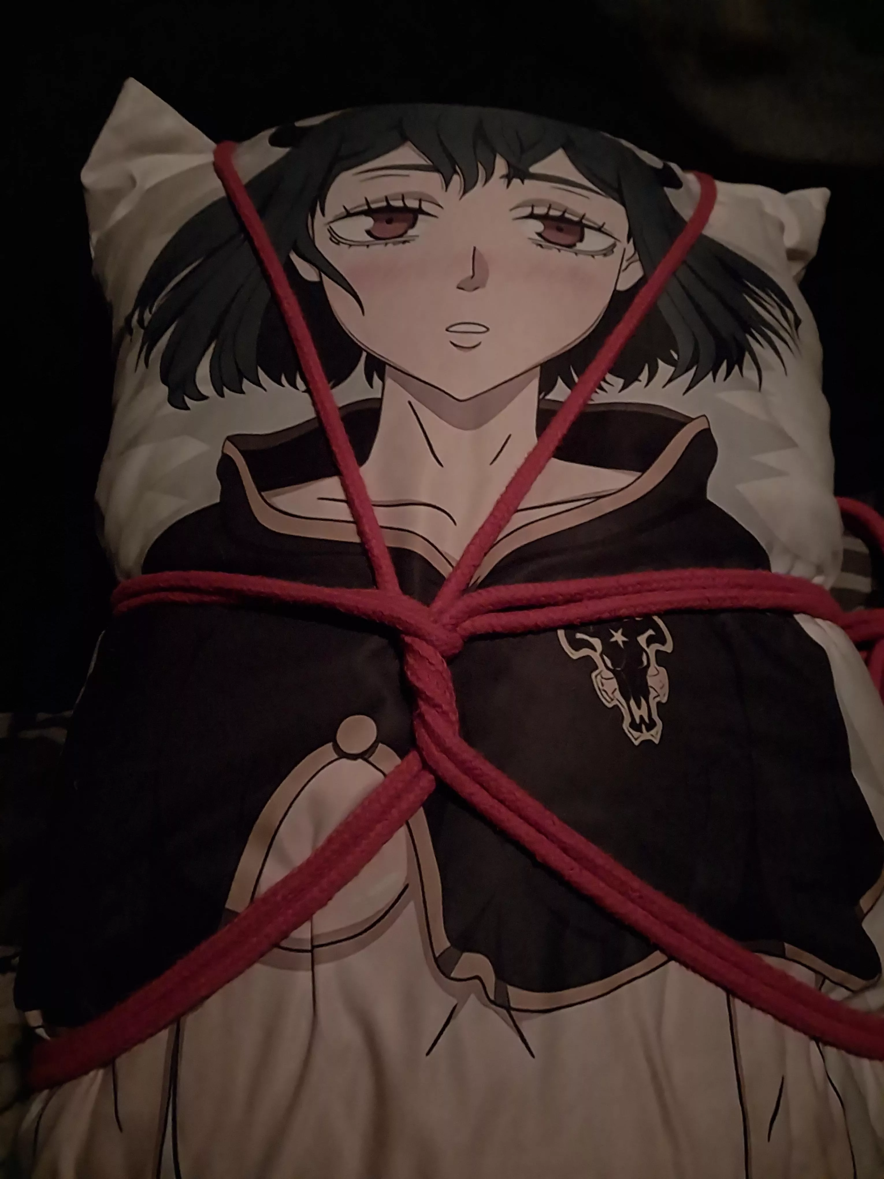 When you feel the desire to practice but have no live model.