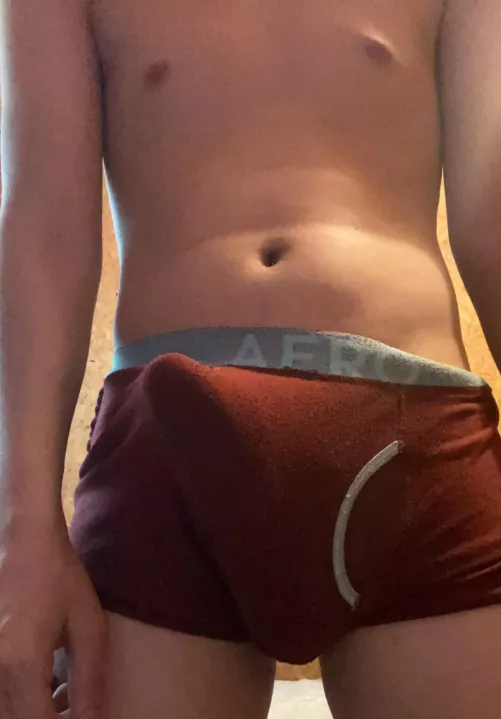 Would you like to reveal my cock