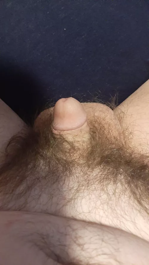 (19M) Small but cute right? 🥺