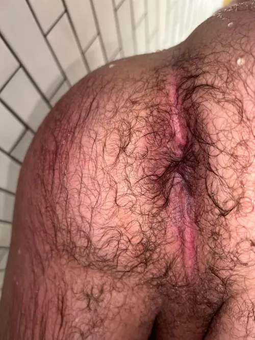 (20) how does my hairy ass look wet?