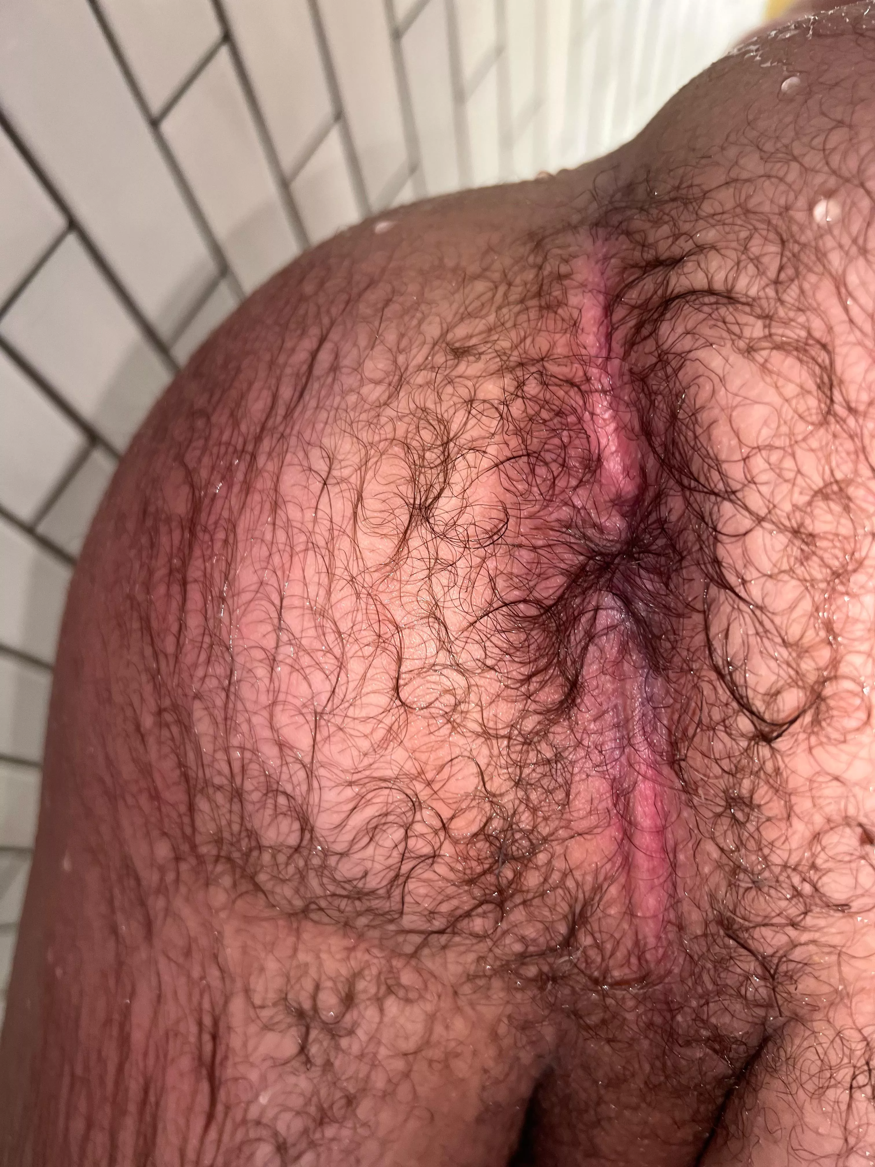 (20) how does my hairy ass look wet?