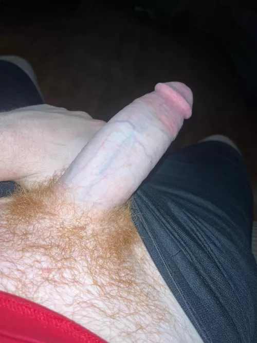 28M BWC sc e_money23699