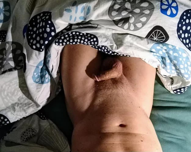 [45] Relaxed, cozy, confident and in anticipation ...