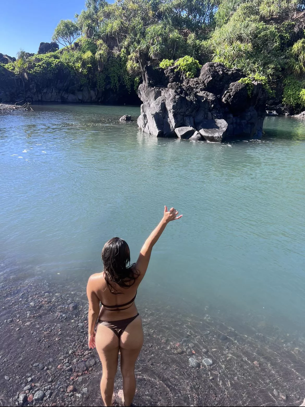 Another beautiful Aloha Friday :) Several concerts this weekend and looking to pick up a BWC at each one. is it going to be you…