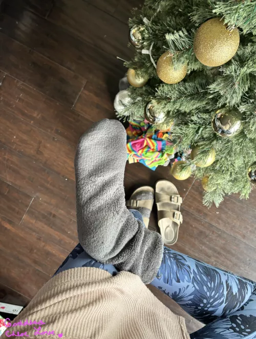 [F] Stinky fuzzy socks