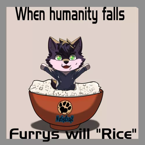 Furry Meme, humanity (NetisCraft)