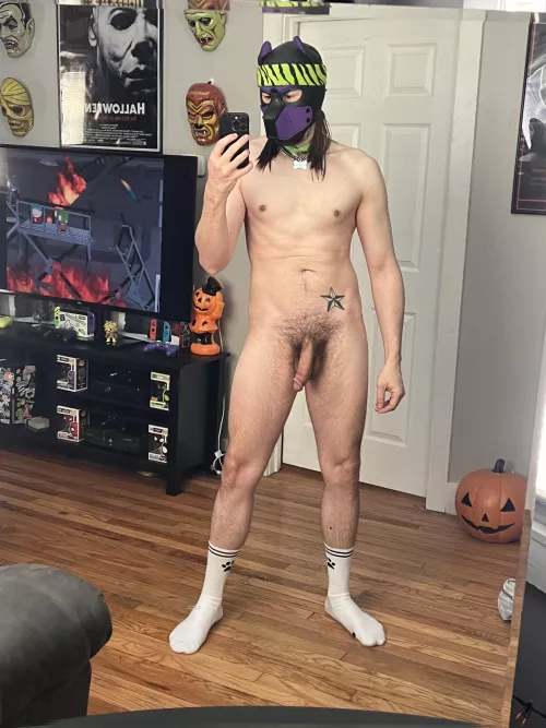 Good naked morning pups!