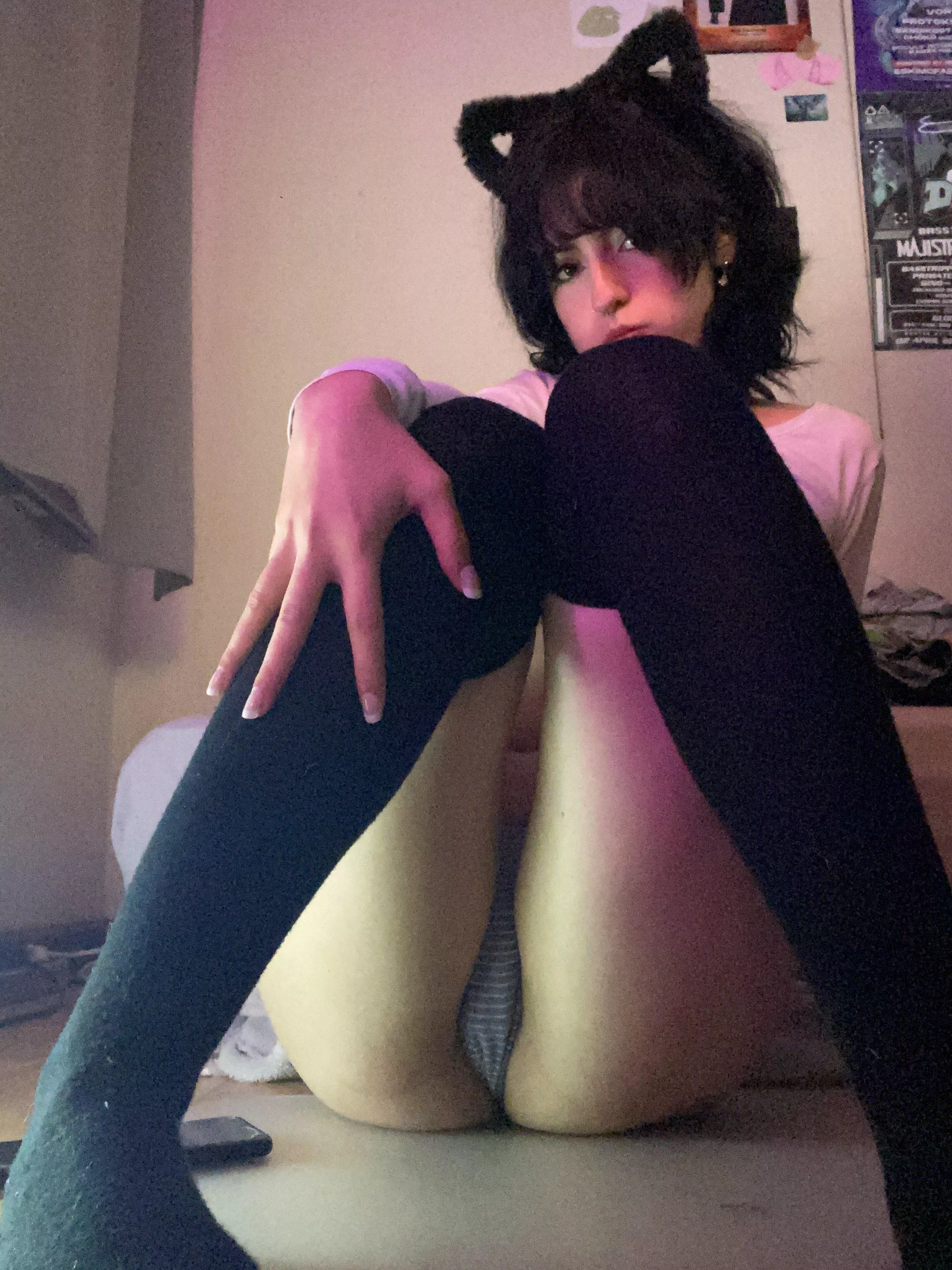 I bet daddy is in need of a kitty gf