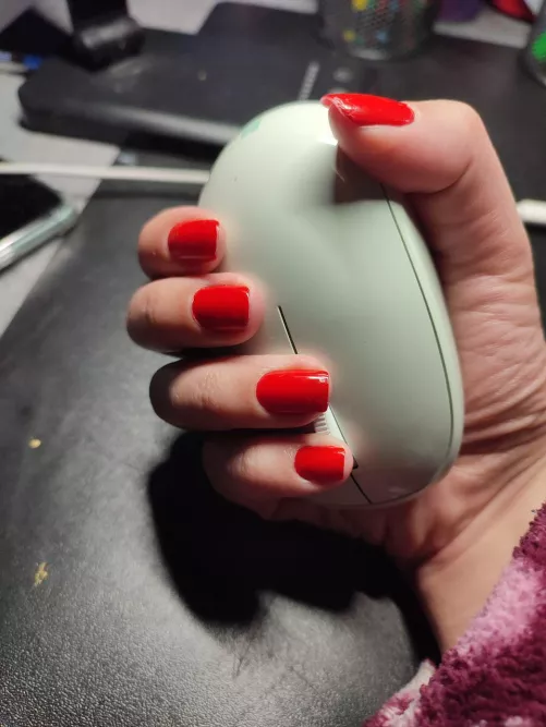 I can trade it for your cock