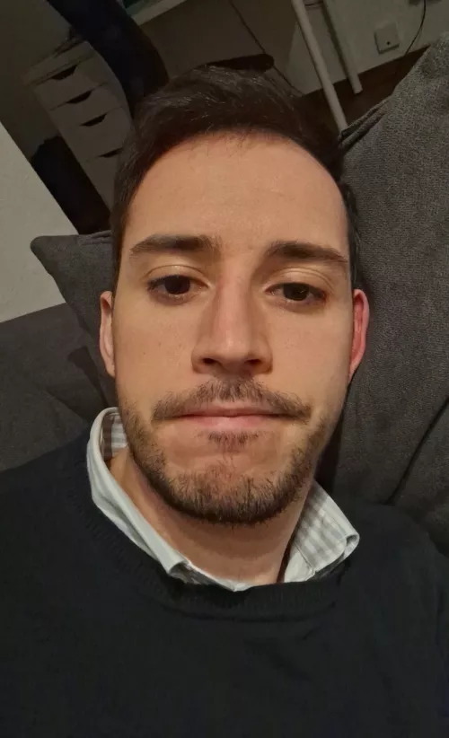 In need of cuddles 🫡