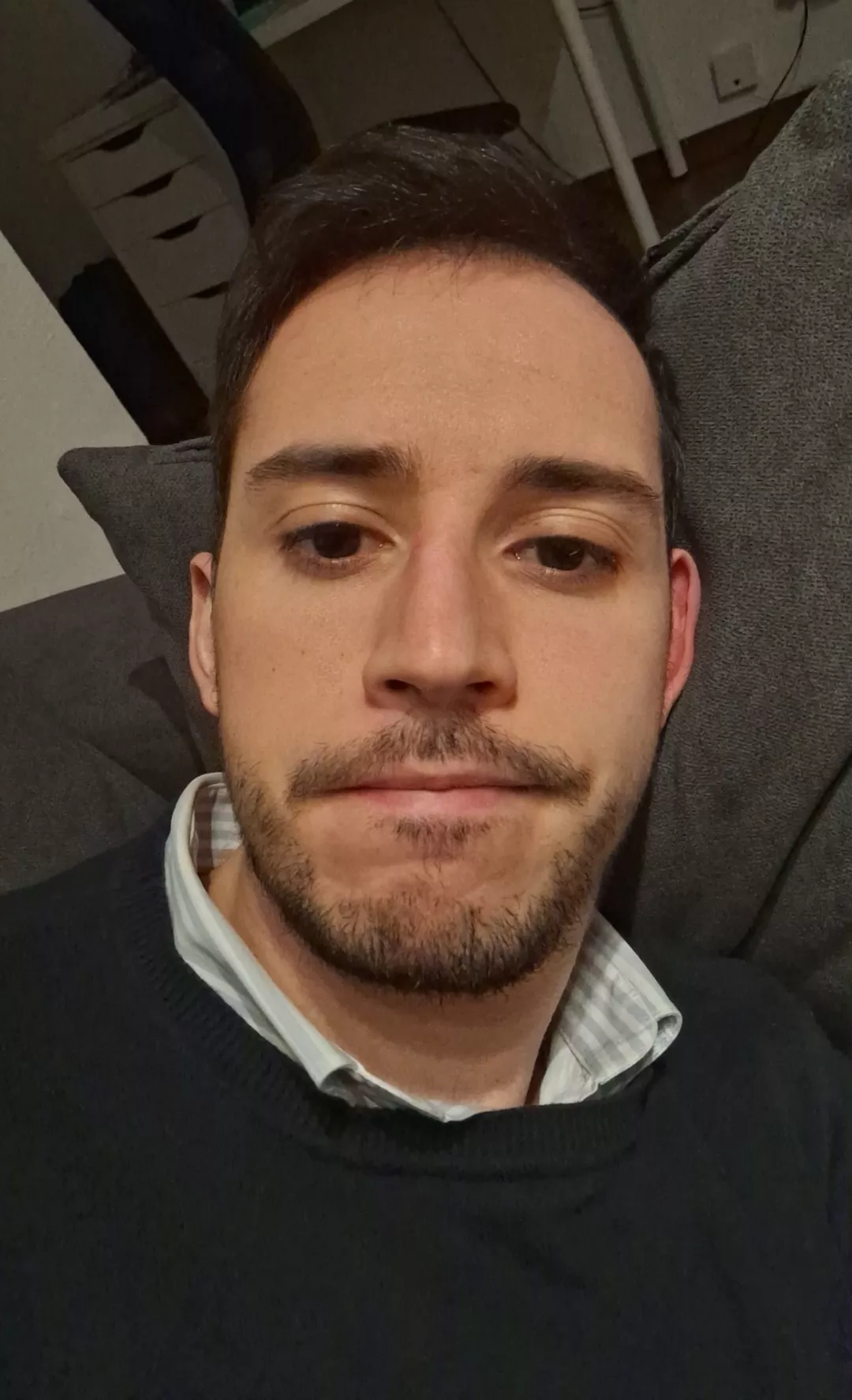 In need of cuddles 🫡