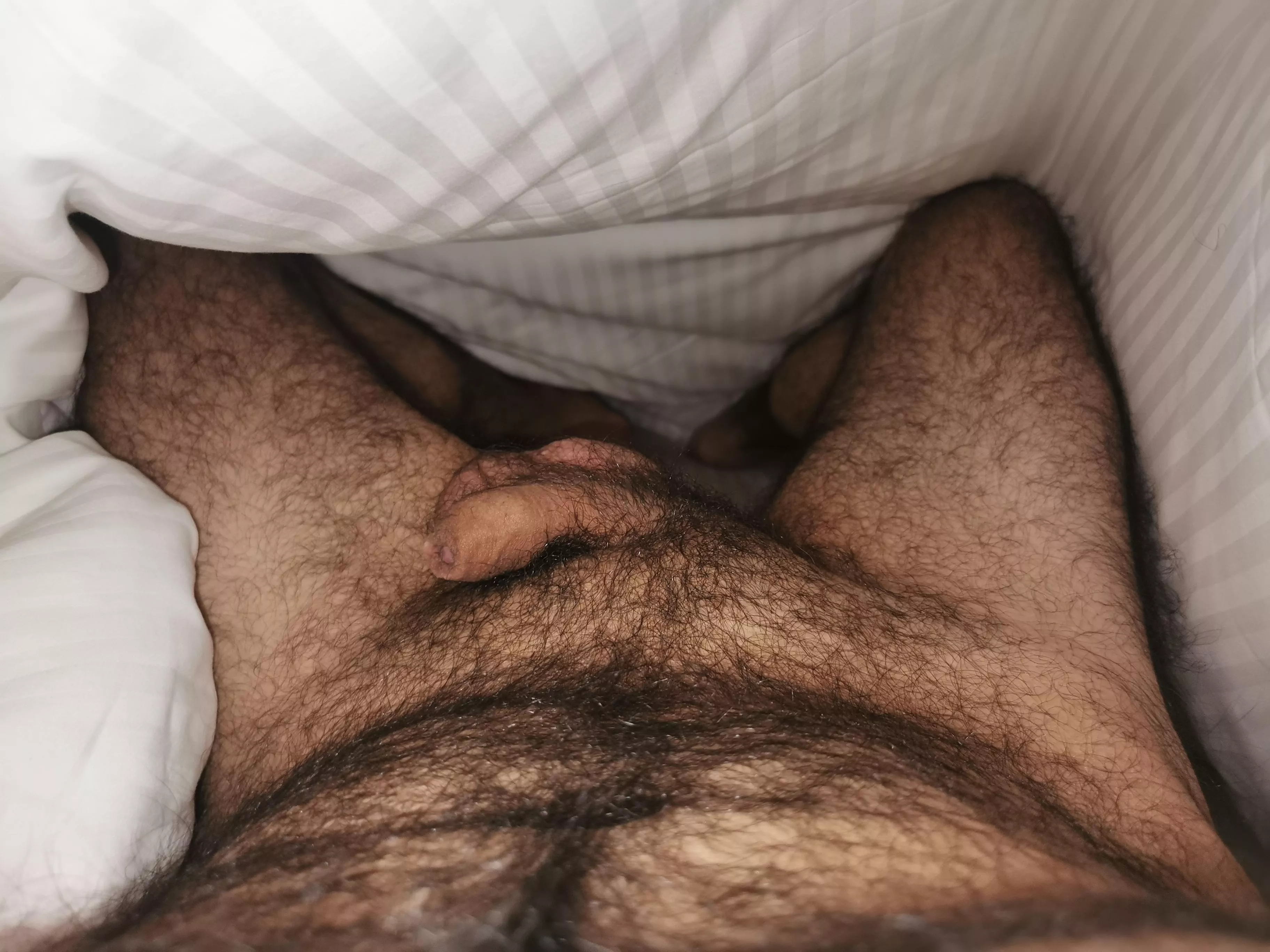 Look what's hiding under...