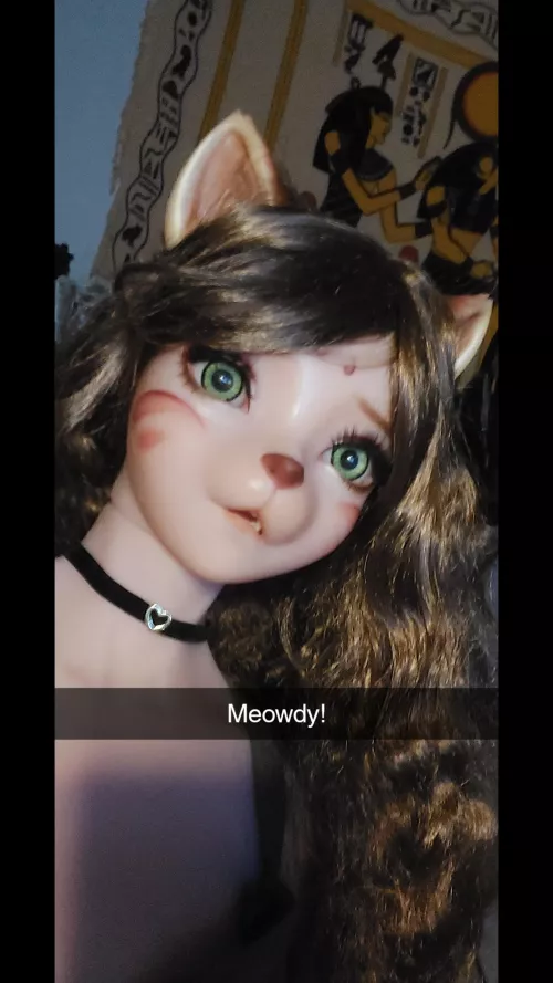 Lynxa stole my phone!