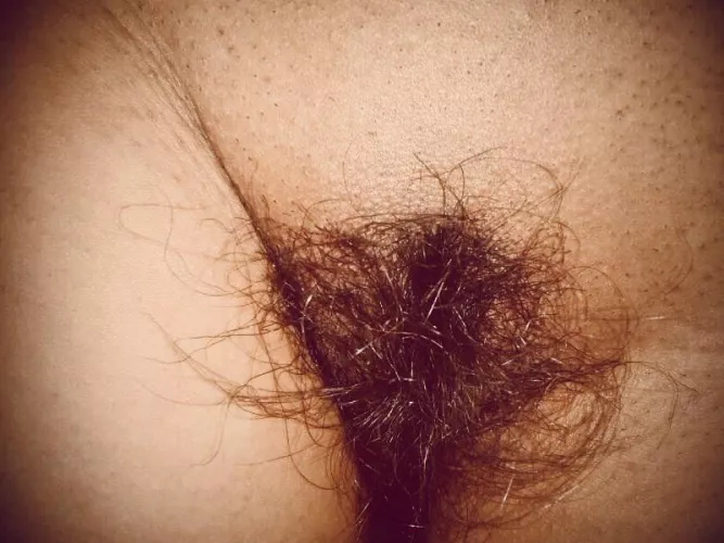 My mexican wild bush