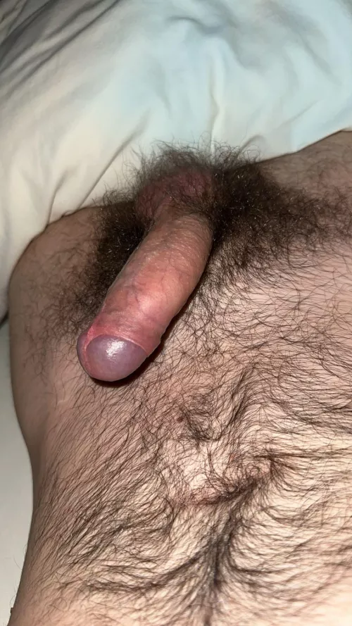 My otter dick