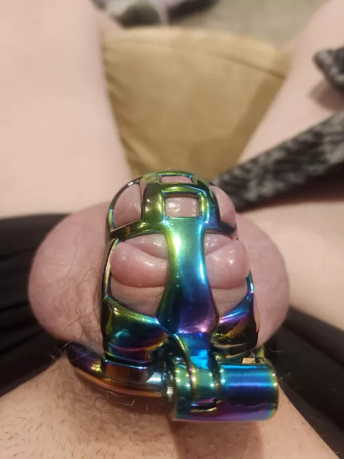 New cage enjoying design