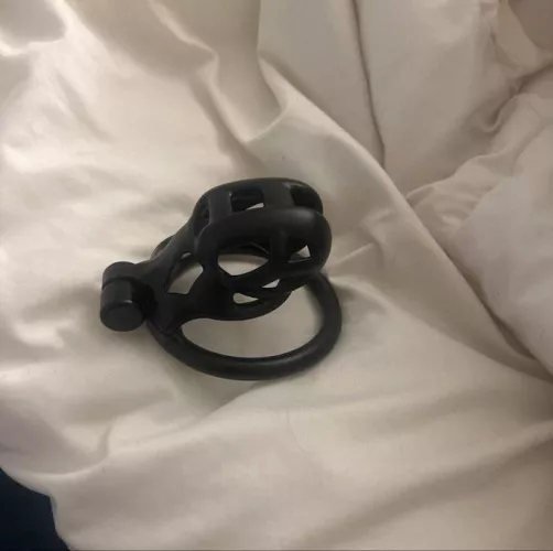 Say “hell” and get sissification tasks now! 💕💕 for chastity slave slut