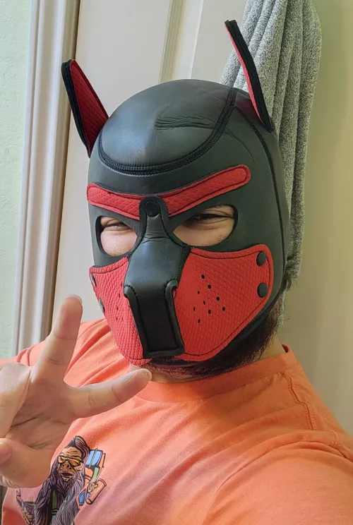 So happy this sub is back!