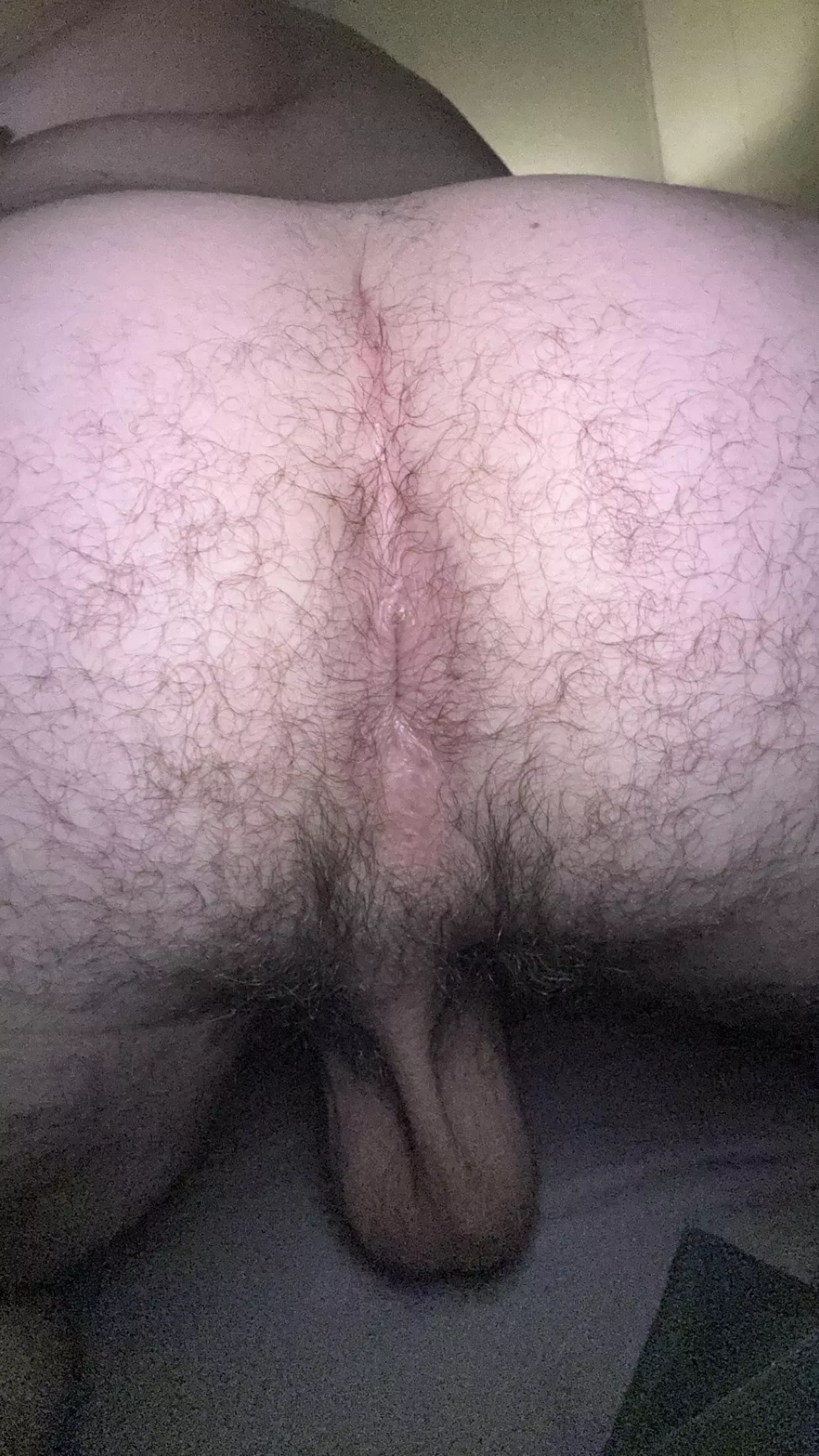 Stick your nose in my hole while you lick my balls from behind [28]