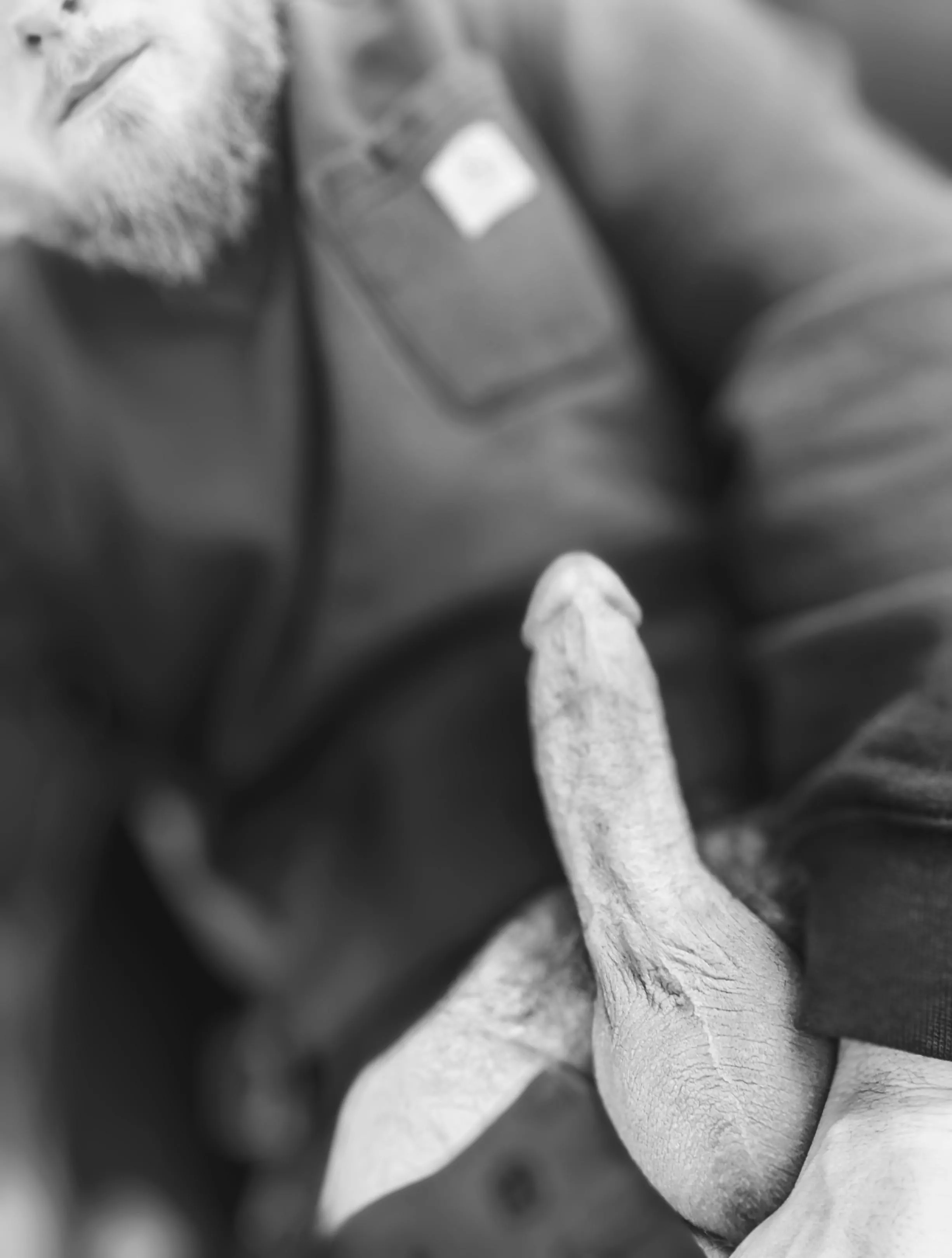 Suck or fuck?? [Male]