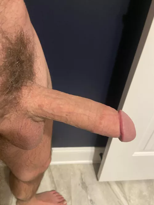 What do you think of Daddy's morning wood? [51]
