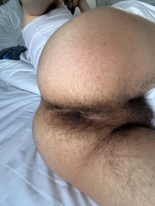 What do you think? 🐽