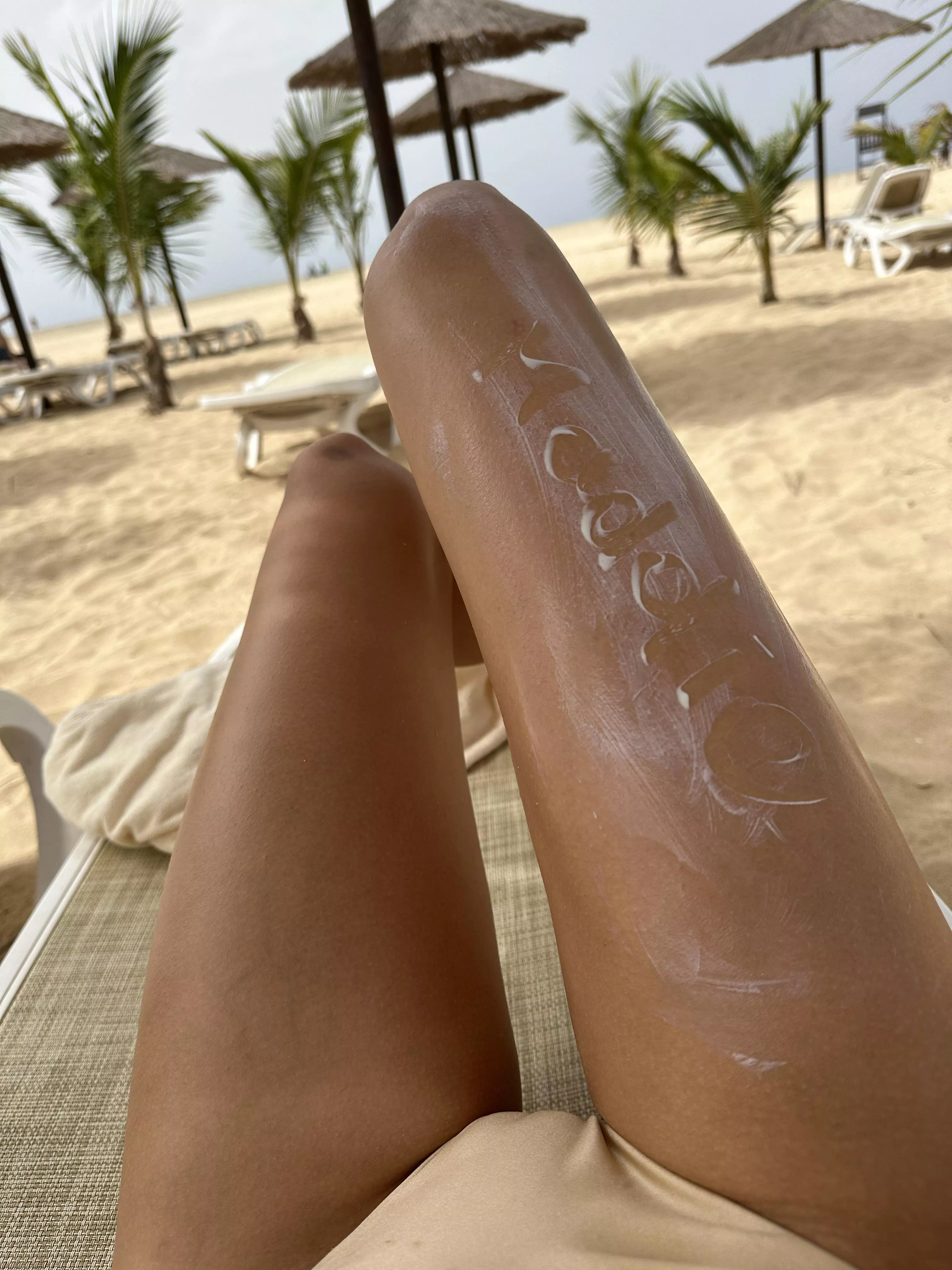 Would you mind eating me instead of your meal?