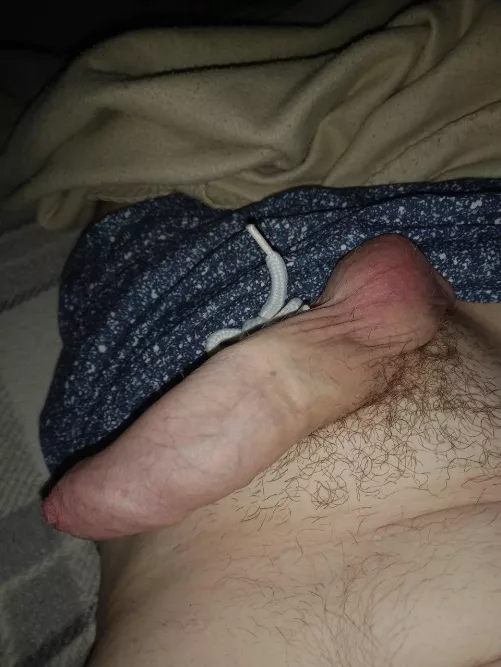 [44] early morning wood