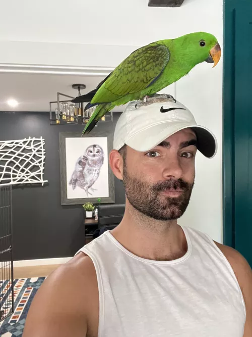 Are we posting our birds now?