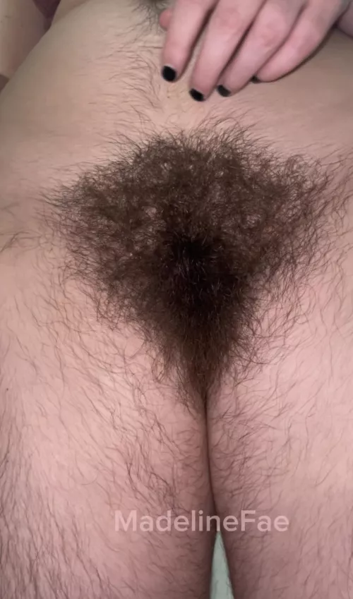 could you guess how long it is?