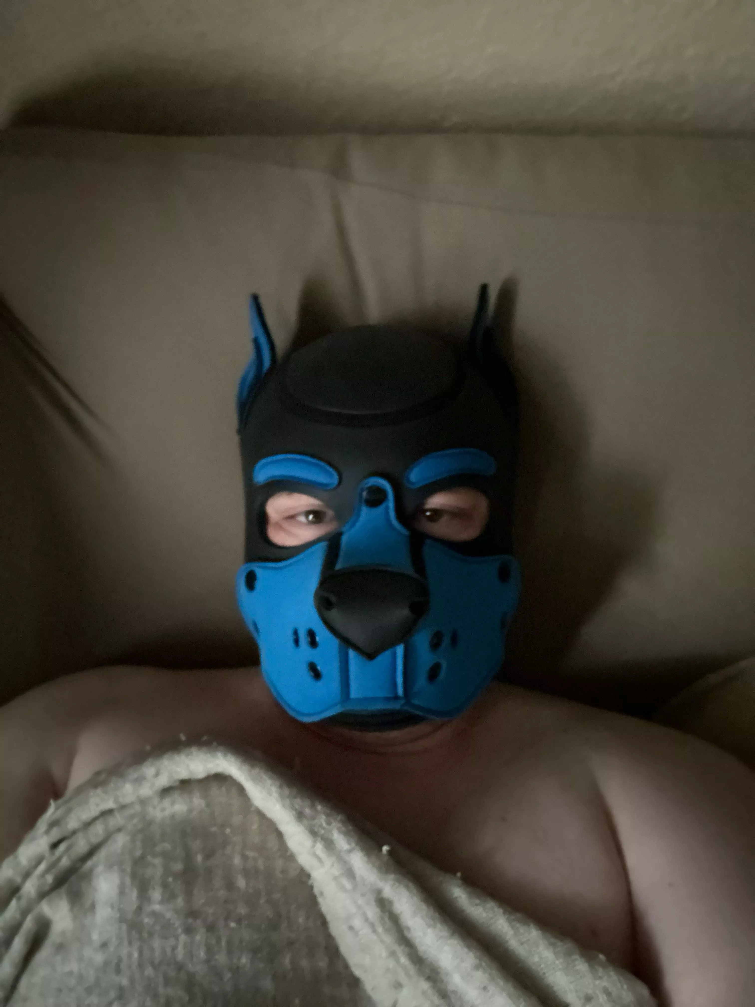 Everybody’s pupping for the weekend!