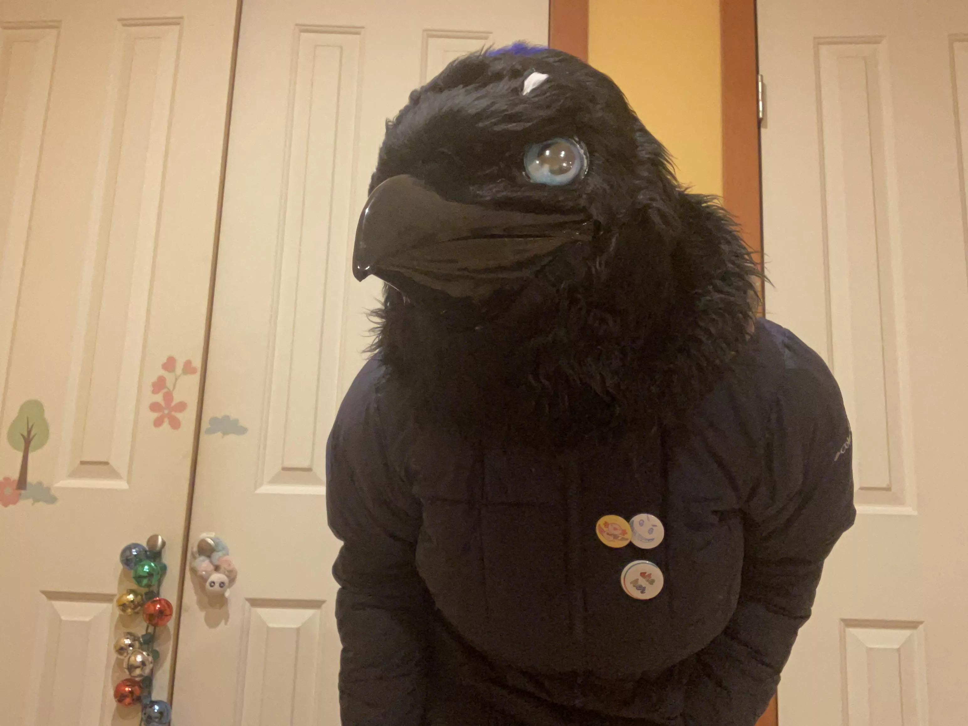 Happy Feathersuit Friday! :D (photo by me) 💙🐦‍⬛