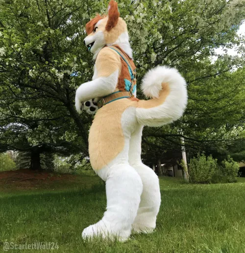 Happy Fursuit Friday!