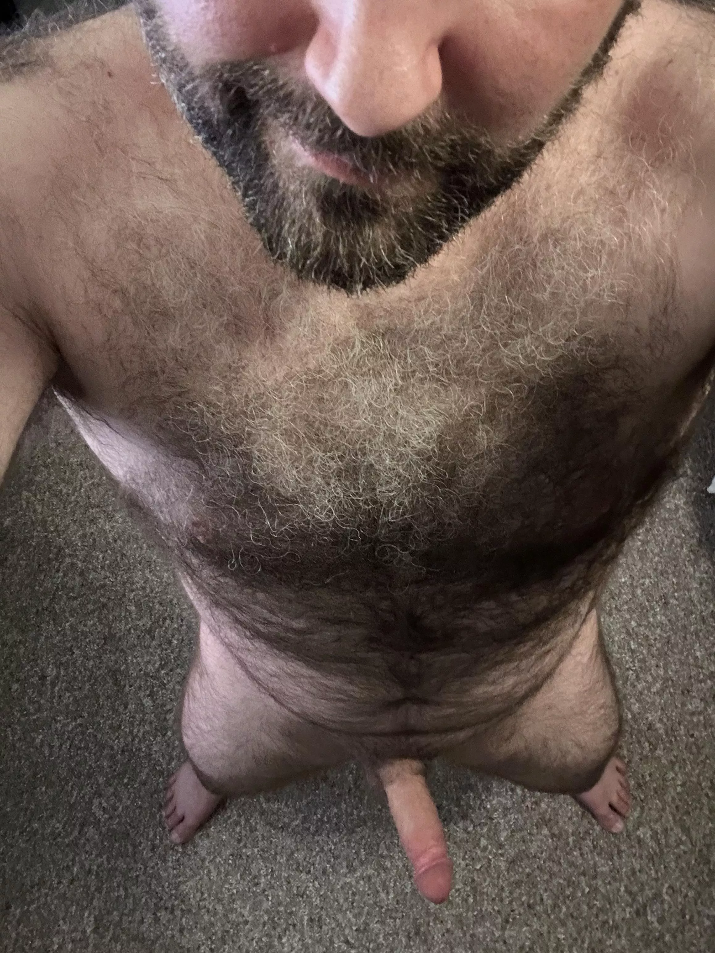Hope you like hairy [41]