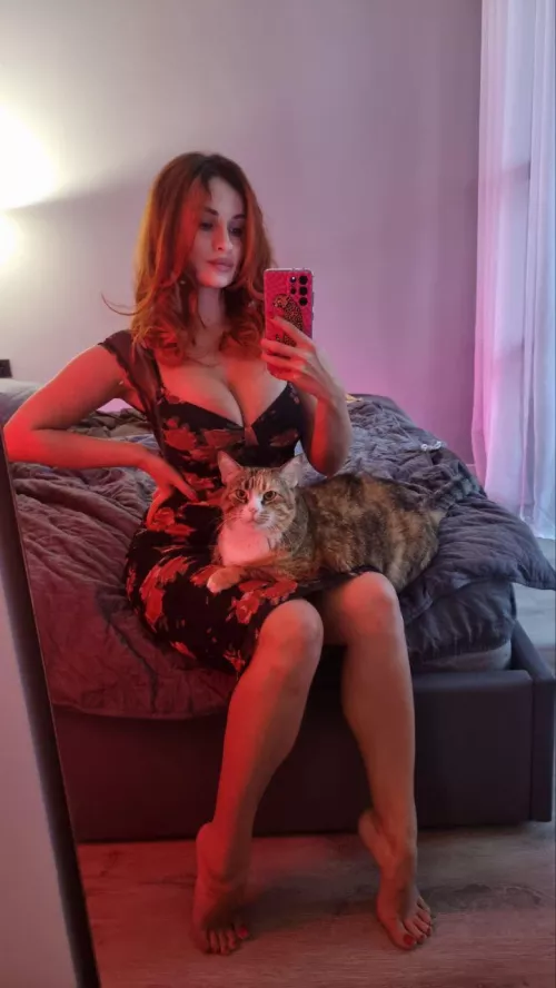 How do you like my cat (IUTR)