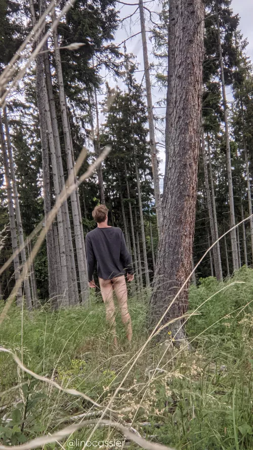 Is there any wood I can chop?