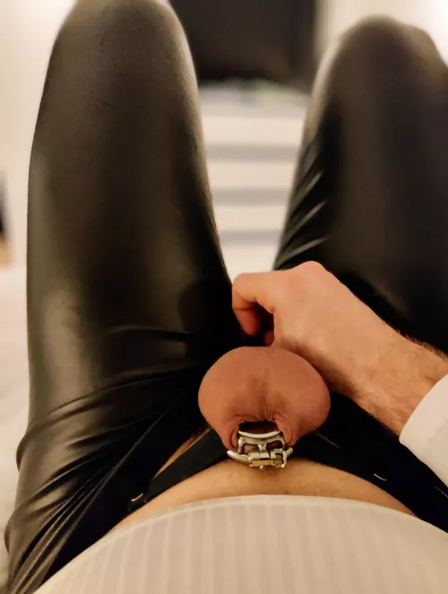 It won't stay that tiny, right Mistress? 💜